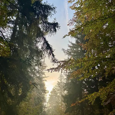 4summer Palm Tree Perlowa Przystan Parking, 650m Do Plazy, 650 Meter Zum Kołobrzeg