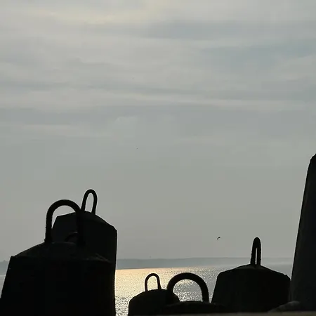 4summer Palm Tree Perlowa Przystan Parking, 650m Do Plazy, 650 Meter Zum Kołobrzeg