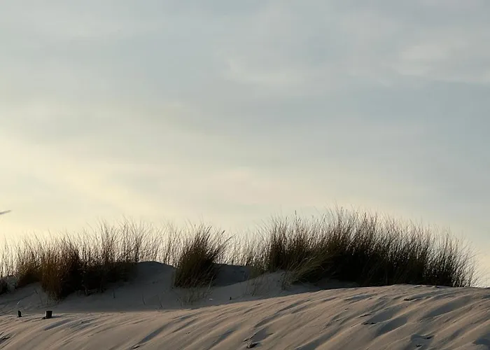 Apartamento 4summer Palm Tree Perlowa Przystan Parking, 650m Do Plazy, 650 Meter Zum *